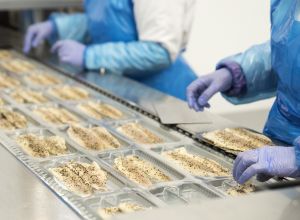 ELITE WORK Agencja Pracy